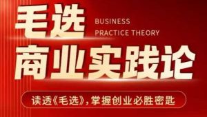 毛选商业实践论，读透《毛选》掌握创业必胜密匙-就爱副业网