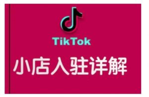 TikTok跨境小店运营全攻略，帮助你独立运营TK跨境小店的能力，实现销量增长-就爱副业网