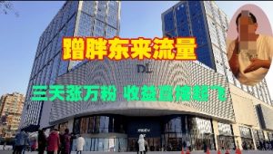 蹭胖东来流量，三天涨万粉，收益直接起飞-就爱副业网