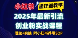2025年最新小红书引流创业粉实战课程【超详细教学】小白轻松上手，月入1W+，附小红书养号SOP-就爱副业网