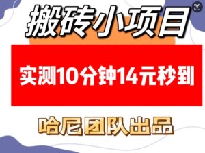 搬砖小项目，实测10分钟14元秒到，每天稳定几张(赠送必看稳定)-就爱副业网