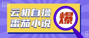 首发云手机自撸小说玩法，10块钱成本可撸200+收益操作简单【揭秘】-就爱副业网