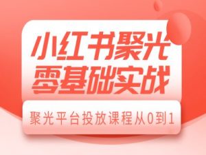 小红书聚光零基础实战，聚光平台投放课程从0到1-就爱副业网