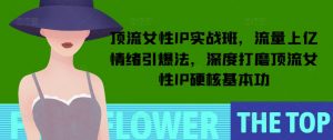 顶流女性IP实战班，流量上亿情绪引爆法，深度打磨顶流女性IP硬核基本功-就爱副业网