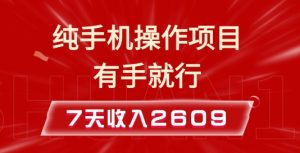 纯手机操作的小项目，有手就能做，7天收入2609+实操教程【揭秘】-就爱副业网