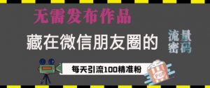 藏在微信朋友圈的流量密码，无需发布作品，单日引流100+精准创业粉【揭秘】-就爱副业网
