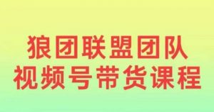 狼团联盟2024视频号带货，0基础小白快速入局视频号-就爱副业网