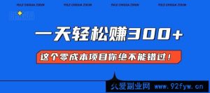 （13702期）零成本入门！简单几步开启一天300+的赚钱之路！-就爱副业网