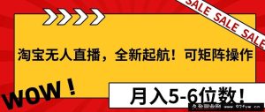 （13946期）淘宝无人直播，全新起航！可矩阵操作，月入5-6位数！-就爱副业网