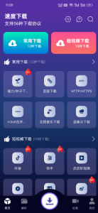[速度下载] 抖音快手皮皮虾视频号短视频无水印下载工具5-就爱副业网