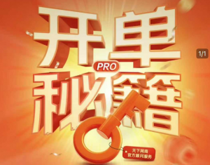 天下网商-开单秘籍PRO淘天实战陪跑计划2025年4月13更新(价值3980元)-就爱副业网