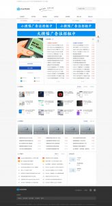 DedeBIZ大成资源网模板V1.0.0-就爱副业网