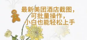 【轻云】最新美团酒店截图，可批量操作，小白也能轻松上手-就爱副业网