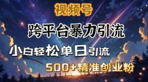 跨平台暴力引流，私域完美闭环，日引500+精准创业粉-就爱副业网