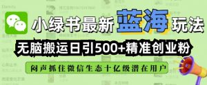 小绿书无脑搬运引流，全自动日引500精准创业粉，微信生态内又一个闷声发财的机会-就爱副业网