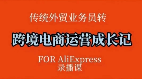 久爱副业网,网赚项目,网赚论坛博客网分享跨境电商速卖通运营课，​运营方法论+后台实操，逻辑清晰