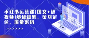 小红书运营课(图文+短视频)基础规则、策划定位、流量密码-就爱副业网