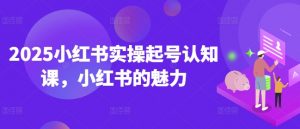2025小红书实操起号认知课，小红书的魅力-就爱副业网