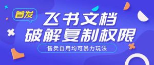 首发飞书文档破解复制权限，售卖自用均可暴力玩法-就爱副业网