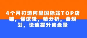 4个月打造阿里国际站TOP店铺，懂逻辑，精分析，会规划，快速提升询盘量-就爱副业网