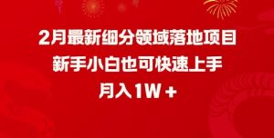 2月最新细分领域落地项目，新手小白也可快速上手，月入1W-就爱副业网