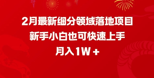 久爱副业网,网赚项目,网赚论坛博客网分享2月最新细分领域落地项目，新手小白也可快速上手，月入1W