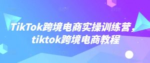 TikTok跨境电商实操训练营，tiktok跨境电商教程-就爱副业网