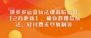 拼多多运营玩法课高阶运营【2月更新】，极致群爆款玩法，轻付费无尽复制等-就爱副业网