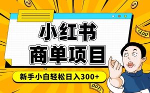 小红书千粉商单，稳定快速变现项目，实现月入6-8k并不是很难-就爱副业网