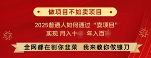 必看，做项目不如卖项目，2025普通人如何通过“卖项目”实现月入十个，年入百个-就爱副业网