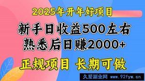 （14076期）2025开年好项目，单号日收益2000左右-就爱副业网