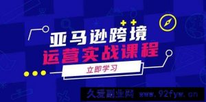 （14188期）亚马逊跨境运营实战课程：涵盖亚马逊运营、申诉、选品等多个方面-就爱副业网