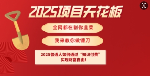久爱副业网,网赚项目,网赚论坛博客网分享2025项目天花板普通人如何通过知识付费，实现财F自由【揭秘】