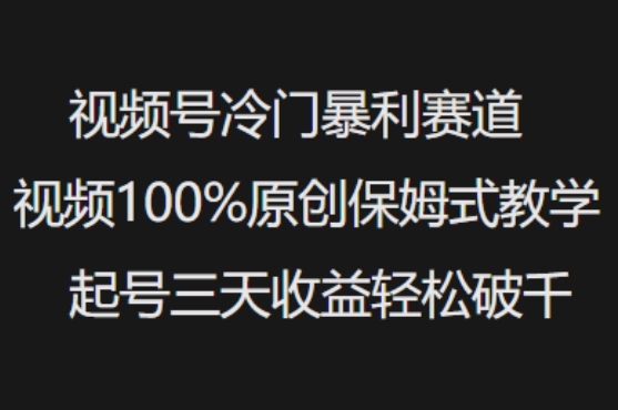 久爱副业网,网赚项目,网赚论坛博客网分享视频号冷门暴利赛道视频100%原创保姆式教学起号三天收益轻松破千