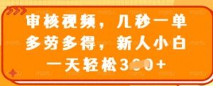 审核视频，几秒一单，多劳多得，新人小白一天轻松3张【揭秘】-就爱副业网