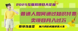 2025互联网项目天花板，普通人如何通过知识付费卖项目月入过W，拒绝当韭菜【揭秘】-就爱副业网