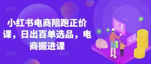 小红书电商陪跑正价课，小红书官方认证电商讲师教学，日出百单选品，电商掘进课-就爱副业网
