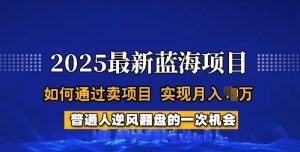 2025蓝海项目，普通人如何通过卖项目，实现月入过W，全过程【揭秘】-就爱副业网