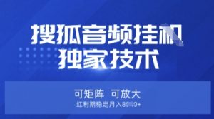 【搜狐音频挂G】独家技术，可矩阵可放大，红利期稳定月入8k【揭秘】-就爱副业网