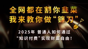 全网都在割你韭菜，我来教你做镰刀,2025普通人如何通过知识付费，实现财F自由【揭秘】-就爱副业网
