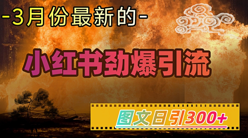 久爱副业网,网赚项目,网赚论坛博客网分享小红书超劲爆引流手段，图文日引300+轻松变现1W