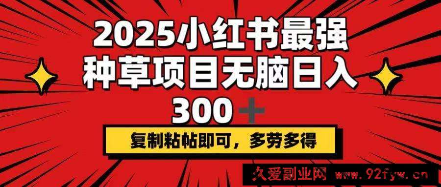 图片[1]-（14375期）2025小红书最强种草项目，无脑日入300+，复制粘帖即可，多劳多得-就爱副业网