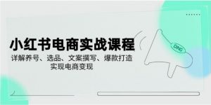小红书电商实战课程，详解养号、选品、文案撰写、爆款打造，实现电商变现-就爱副业网