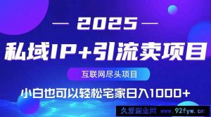 （14151期）私域IP+引流卖项目，小白也可以做到轻松宅家日入1000+-就爱副业网