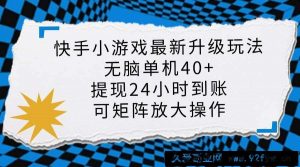 （14166期）快手小游戏最新版升级玩法，新风口，无脑单机日入40+，可批量放大，小…-就爱副业网