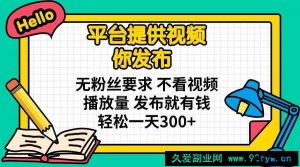 （14171期）平台提供视频 你发布 无粉丝要求 不看视频播放量 发布就有钱 轻松一天300+-就爱副业网