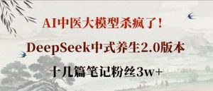 AI中医大模型杀疯了！DeepSeek中式养生2.0版本，十几篇笔记粉丝3w+-就爱副业网