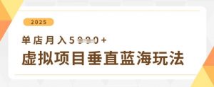 虚拟项目垂直玩法，实现单店月入5k+-就爱副业网