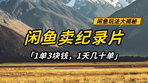 久爱副业网,网赚项目,网赚论坛博客网分享闲鱼卖纪录片1单3块钱，1天几十单，项目稳定有潜力