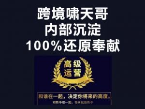 漫威跨境特训营-跨境电商教程-就爱副业网